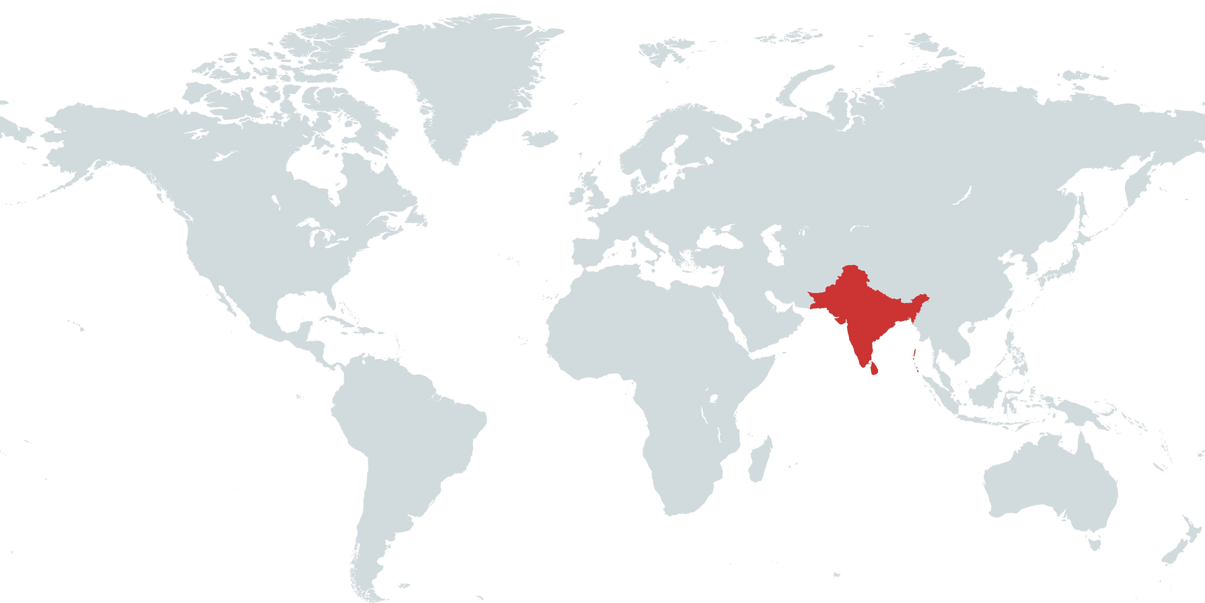 World Map Background