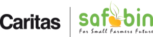 SAFBIN Logo