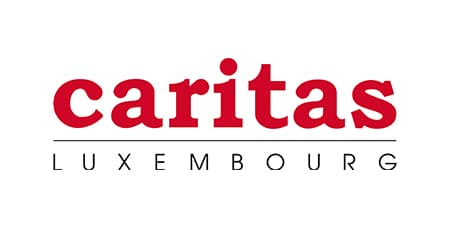 Partner 5