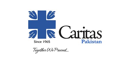Partner 8
