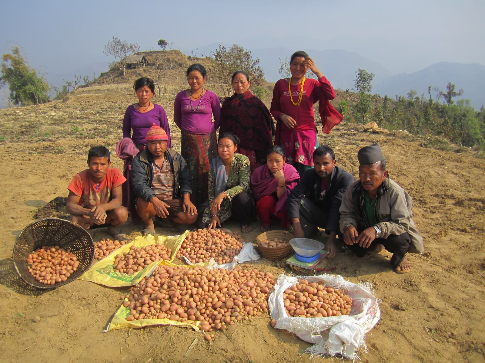 SAFBIN Program