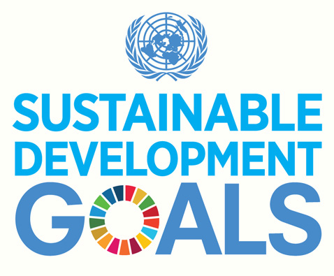 SDG Logo