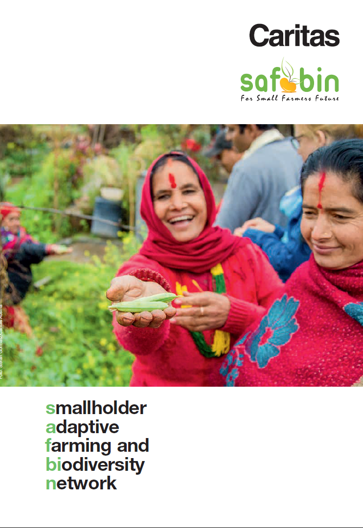 SABFIN Brochure